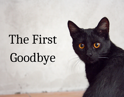 The First Goodbye