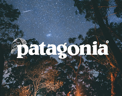 Patagonia Branding Excercise