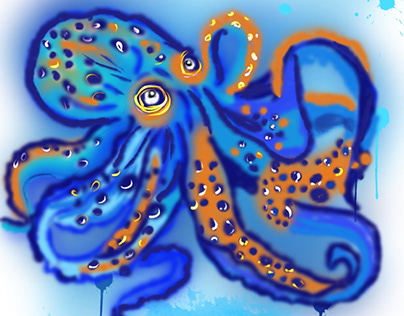 Octopus colourful
