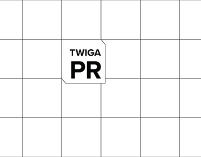 разработка логотипа и стиля для PR агентства TWIGA