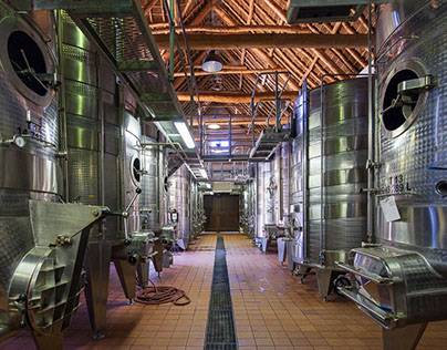 Wineproduction / Wine cellars