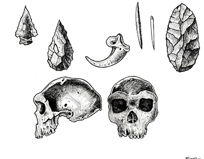 Crâne et outils
