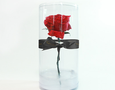 Diseño de Packaging Cilíndrico Taylor Skye Flowers