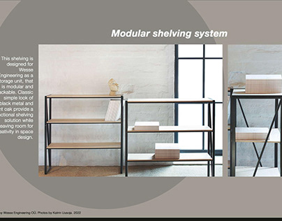 Minimal modular shelves