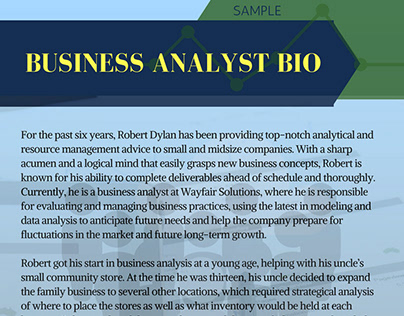 Business Analyst Bio Sample