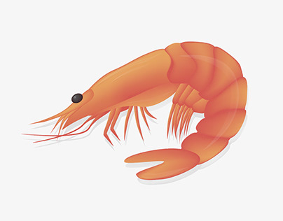 Seafood illustration