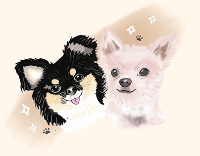 Chihuahua Illustration