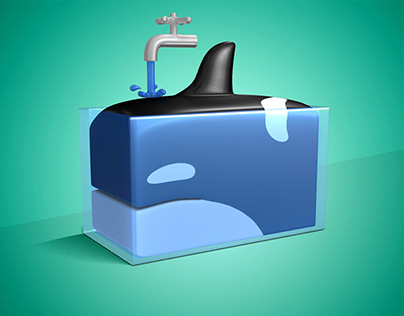 Whale in Tank