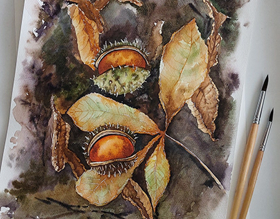 Chestnuts in watercolor