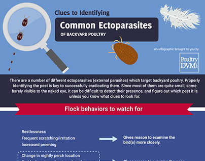 Common Ectoparasites of Backyard Poultry