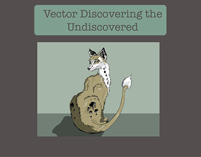 Vaster Discovering the Undiscovered