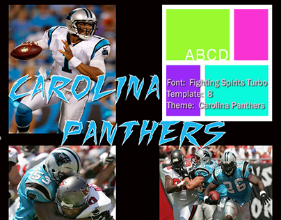 Carolina Panthers Project