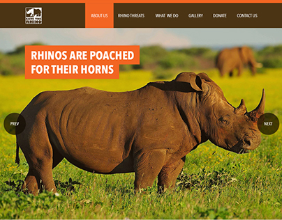 Save The Rhino Website