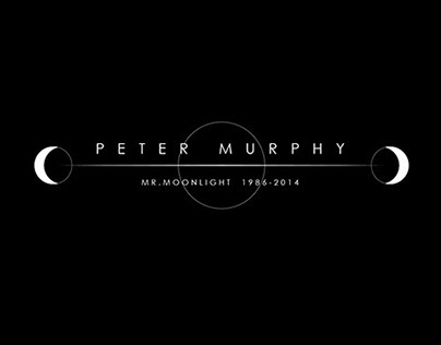PETER MURPHY - FAN ART