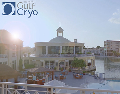 Gulf Cryo - Software launch