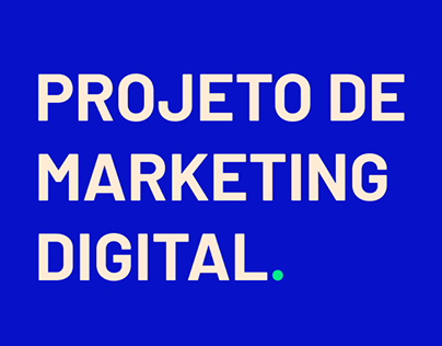 Projeto de Marketing digital - VIZI AMBEV