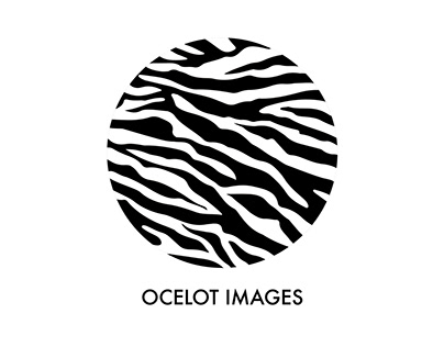 Ocelet Images Logo