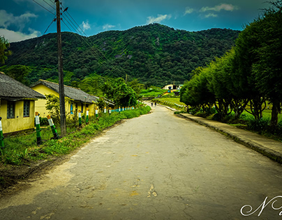 "A Serene Village Path"