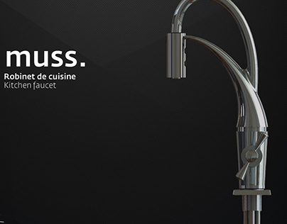 Robinet de cuisine (Kitchen faucet) | MUSS