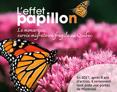 Effet papillon