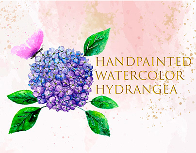 Handpainted watercolor Hydrangea