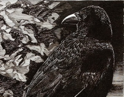 Crow #3