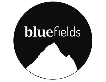 Blue Fields - Identity