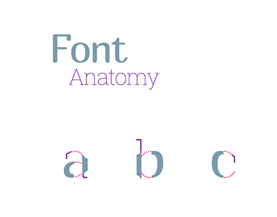 Font Anatomy