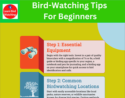 Bird-Watching Tips For Beginners