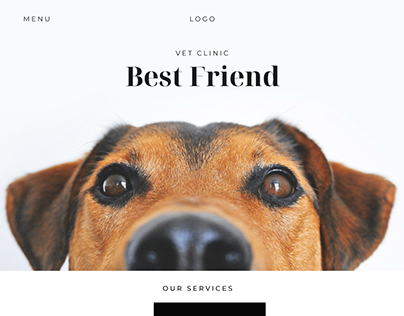 Project thumbnail - Website of the Veterinary Clinic