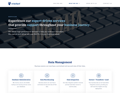 Intelfort Website Design
