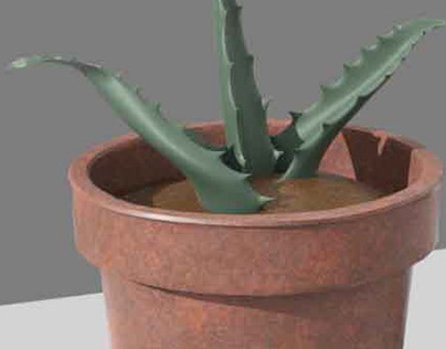 3D model Aloe