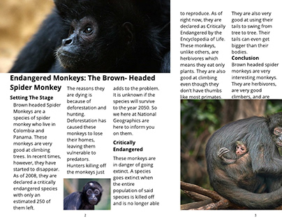 National Geographic Magazine Spread Project