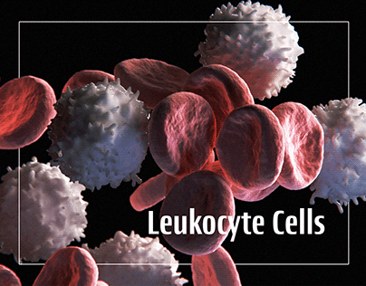 Leukocyte Cells