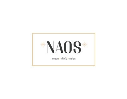 Naos - Feasibility Report