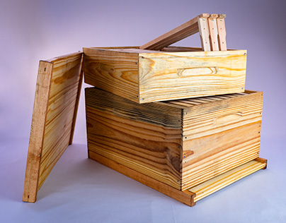 Caixas para apicultura - Zé Colmeia
