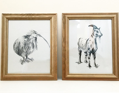 Goat & kiwi illustration