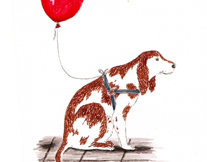 A dog and his balloon