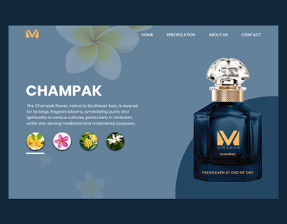UI Design & Prototyping of vickman perfume