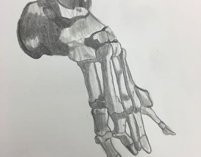 Skeleton Foot sketch