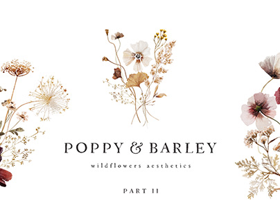 POPPY & BARLEY Wildflowers Aesthetics