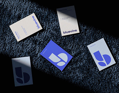 Project thumbnail - Bluevine Rebrand