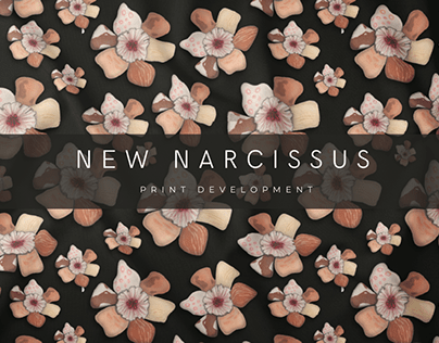 The New Narcissus - Print Development