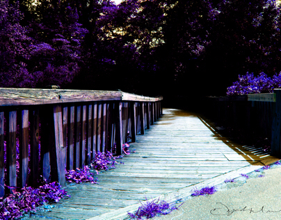 Maymont Park (a play on hue and saturation)