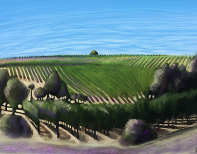 El Campo Vineyard