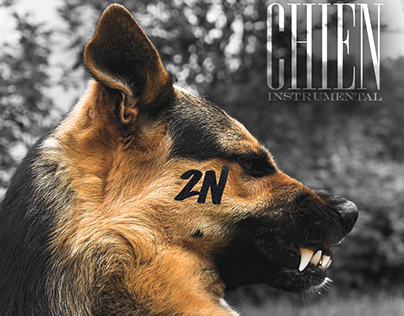 2n - Chien instrumental Cover