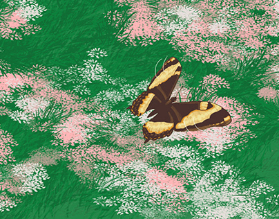 Swallowtail Butterfly GIF