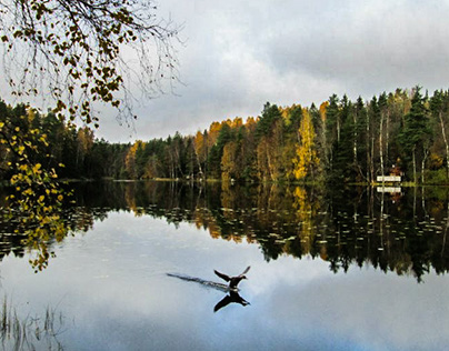 Finland: Autumn