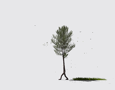 O Sobrado e a Árvore Ambulante - Animation