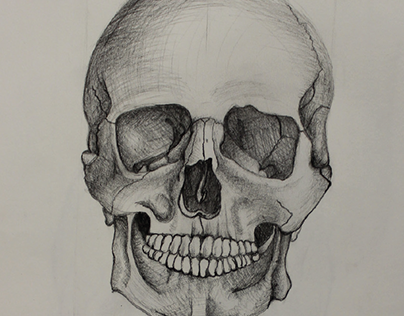 Master-copy of a skull drawing